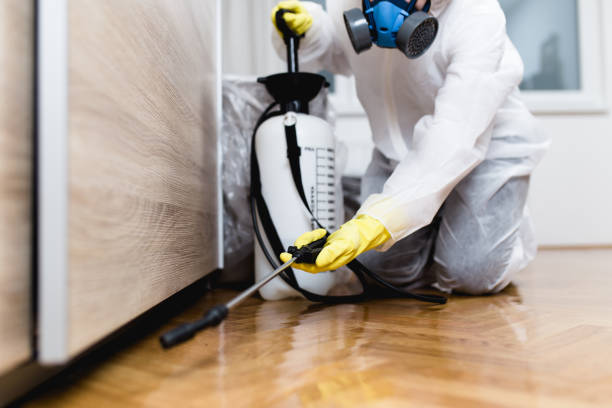 Best Rat Extermination Near Me  in Folsom, NJ