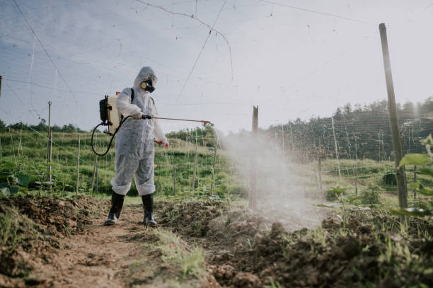 Best Ant Control Services  in Folsom, NJ