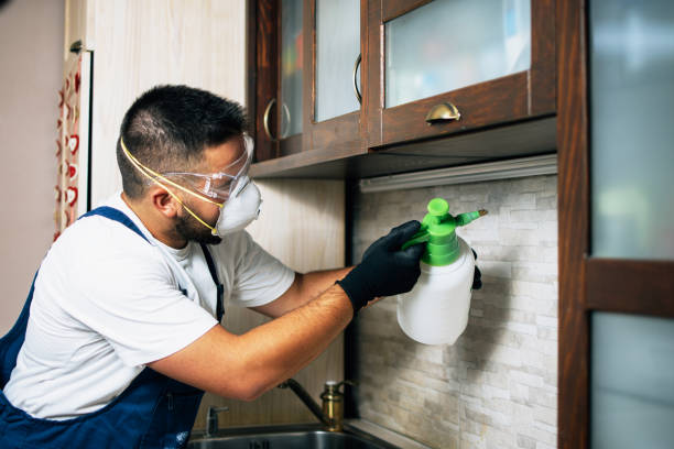 Best Exterminator Services  in Folsom, NJ