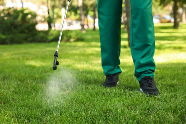 Best Termite Control Services  in Folsom, NJ