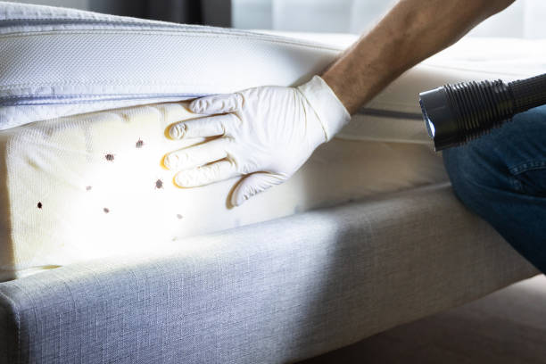 Best Affordable Pest Control Services  in Folsom, NJ