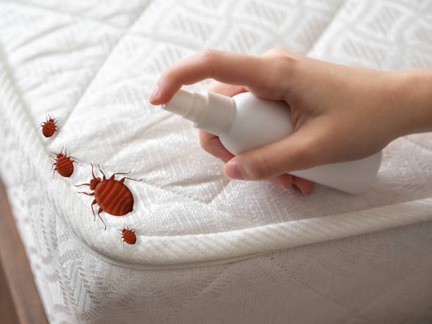 Best Pest Removal Services  in Folsom, NJ